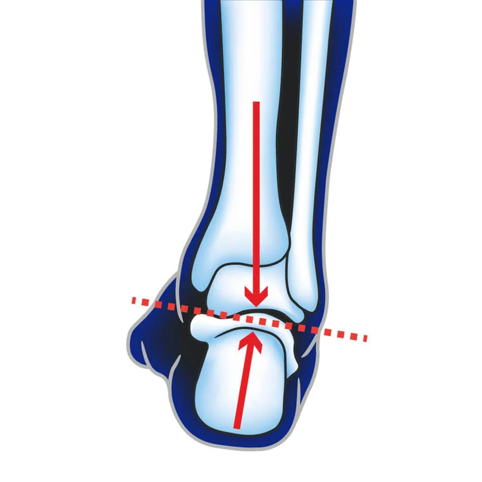 Ultimate Performance Advanced Insole With F3D AW23 - Image 10