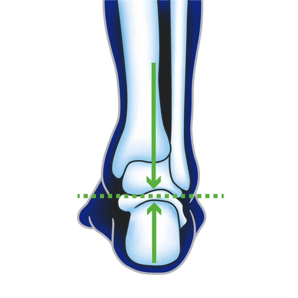 Ultimate Performance Advanced Insole With F3D AW23 - Image 8
