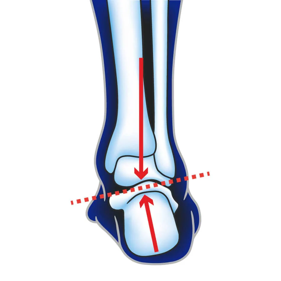 Ultimate Performance Advanced Insole With F3D AW23 - Image 9